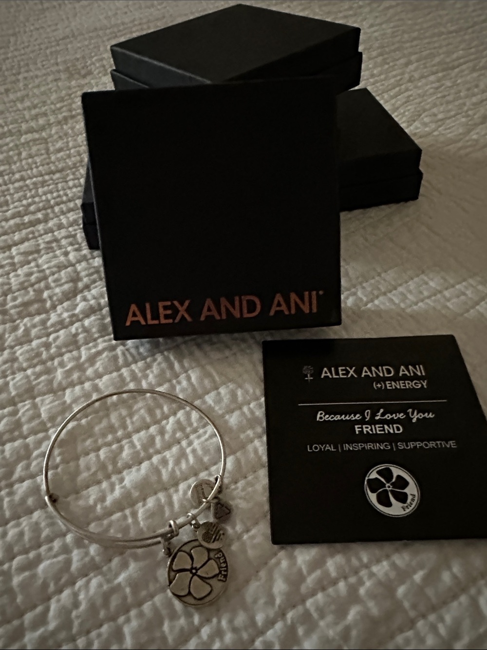 Alex and Ani Silver Friendship Charm Bangle with Black Branded Box